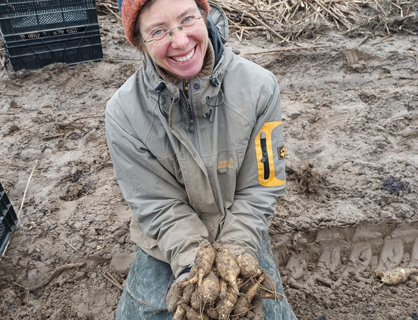 Kati mit Topinambur auf dem Acker