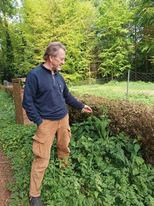 KI generiert: Das Bild zeigt ein Auflaufform mit überbackener Speise, die mit Kräutern dekoriert ist, auf einem Tablett, das von Salat und einer grünen Soße begleitet wird. Der Hauptinhalt des Bildes ist die kulinarische Präsentation des Gerichts.