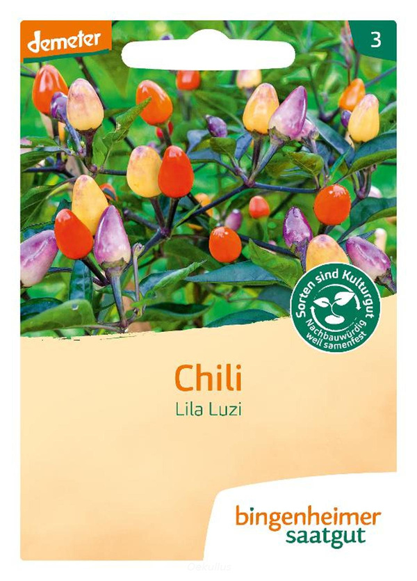Produktfoto zu Chili "Lila Luzi" (Saatgut)