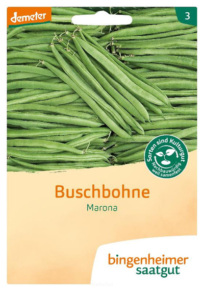 Produktfoto zu Buschbohne Marona (Saatgut)
