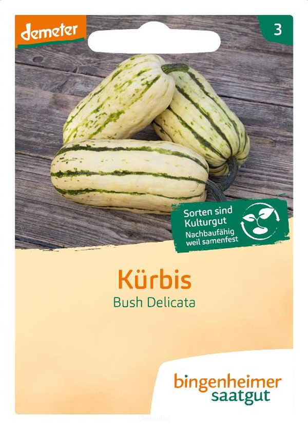 Produktfoto zu Kürbis "Bush Delicata" (Saatgut)