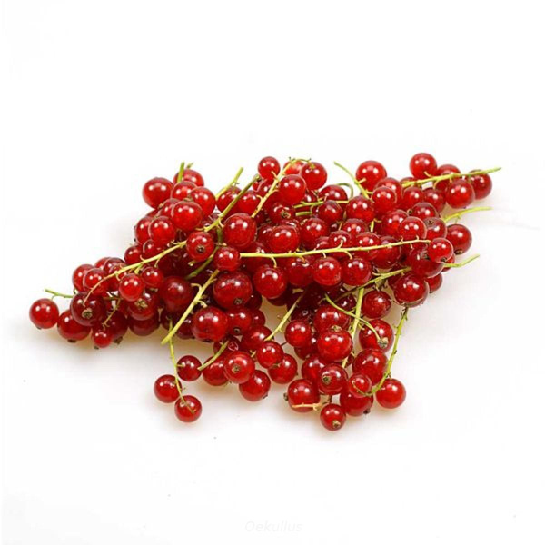 Produktfoto zu Johannisbeeren rot 250g