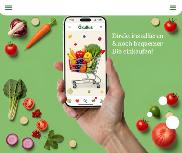Installation Ökullus App 2026
