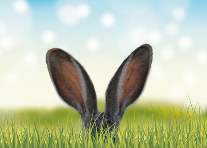 Lieferterminverschiebung Ostern 2025
