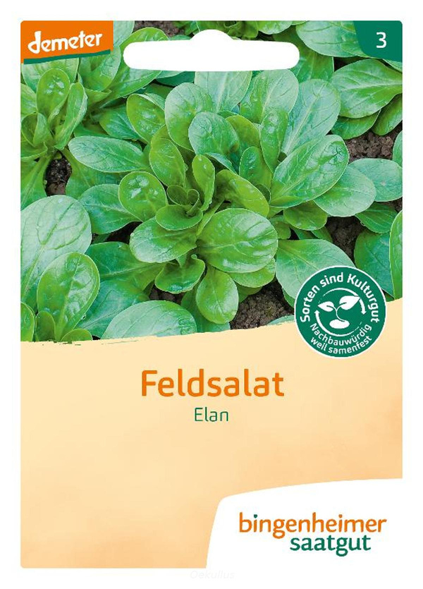 Produktfoto zu Feldsalat "Elan" (Saatgut)
