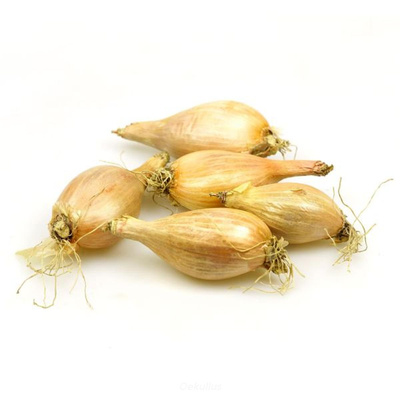 Produktfoto zu Kiste: Schalotten 5kg