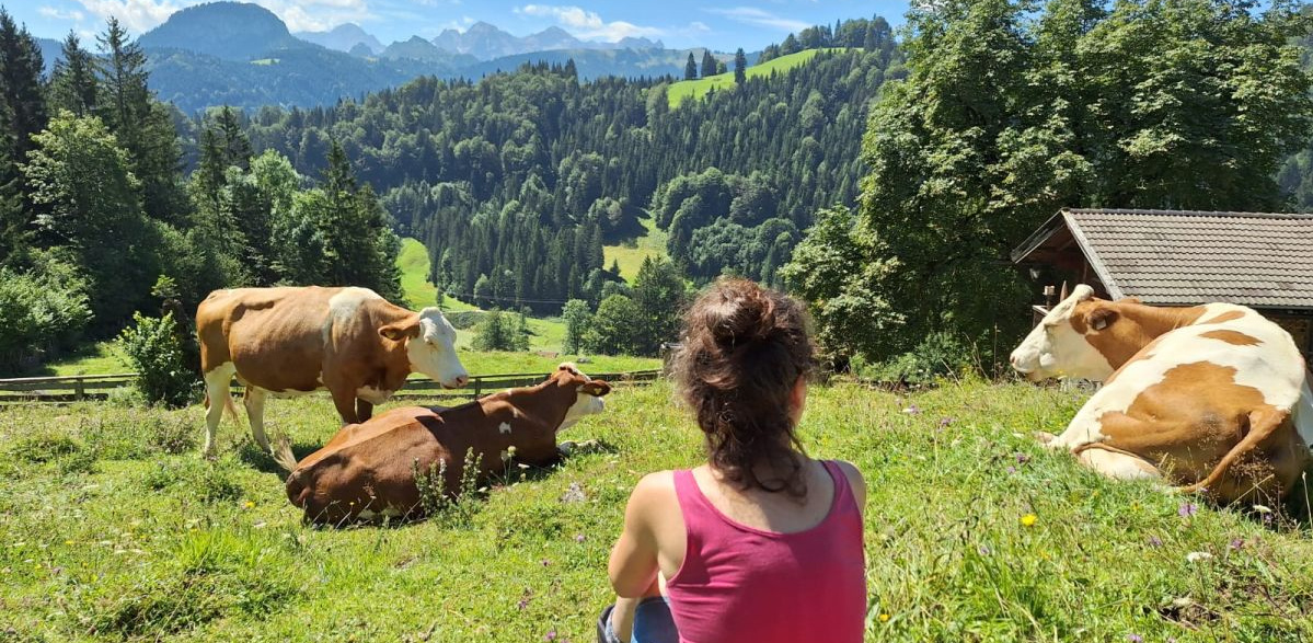 Kräuterwanderung