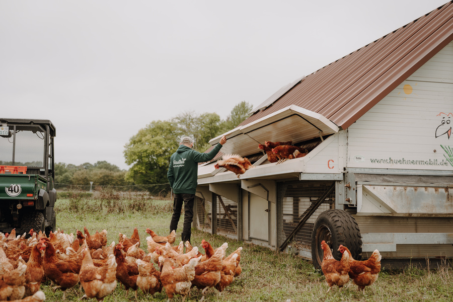 KI generiert: Ein Mann füttert Hühner bei einem Mobilstall. Text: "www.huehnermobil.de".