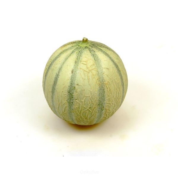 Produktfoto zu Melone Cantaloup