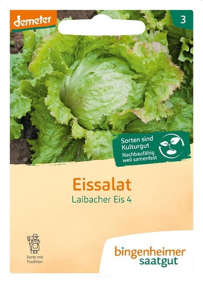 Produktfoto zu Eissalat "Laibacher" (Saatgut)