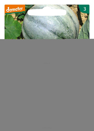Produktfoto zu Zuckermelone (Saatgut)