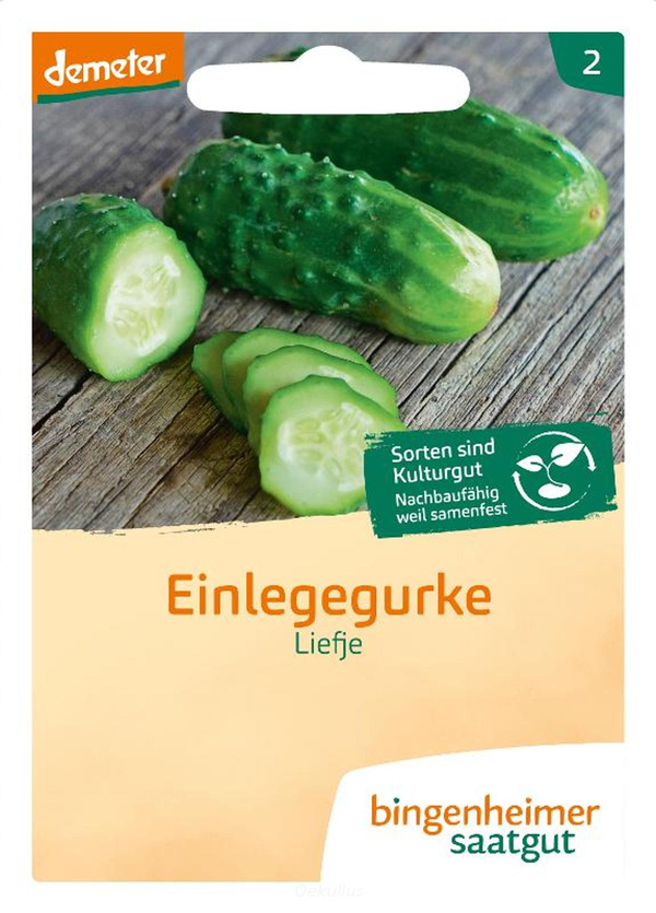 Produktfoto zu Einlegegurke "Liefje" (Saatgut)