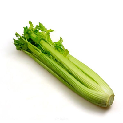 Produktfoto zu Kiste: Staudensellerie 10 St.