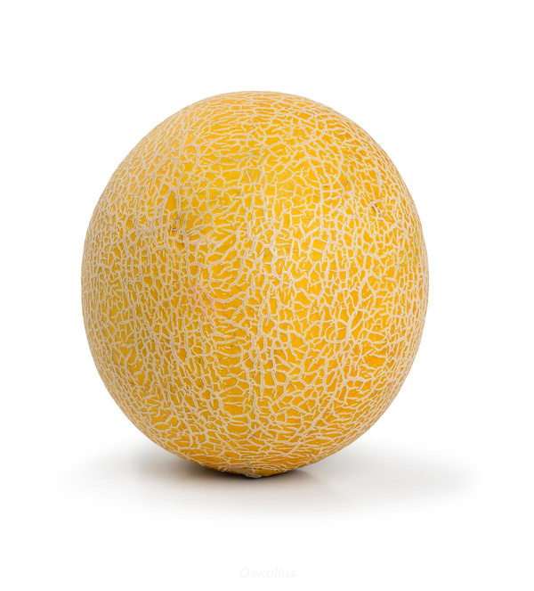 Produktfoto zu Kiste: Melone, Galia 6 St.