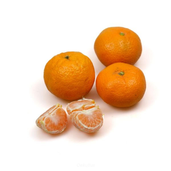 Produktfoto zu Satsuma grünlich