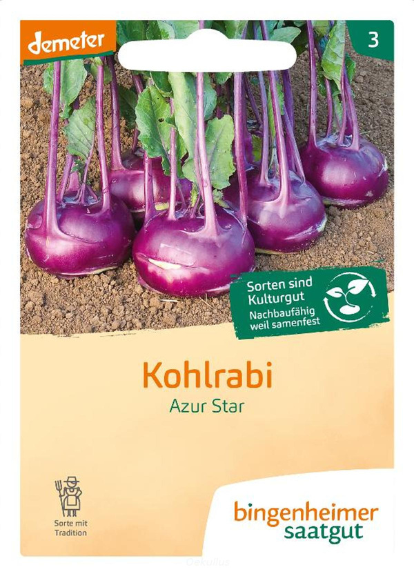 Produktfoto zu Kohlrabi "Azur Star" (Saatgut)
